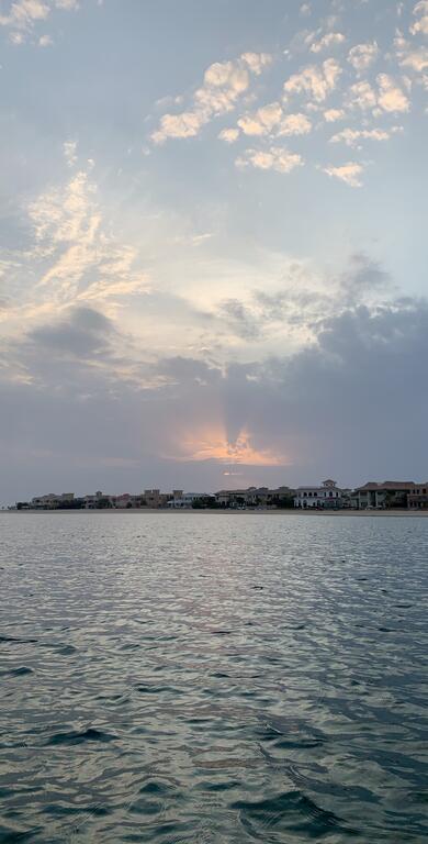 Gorgeous 4 Bedroom Villa With Private Pool In Palm Jumeira Dubai - thumb 4