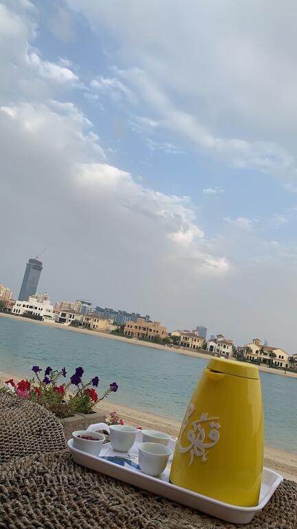 Gorgeous 4 Bedroom Villa With Private Pool In Palm Jumeira Dubai - thumb 1