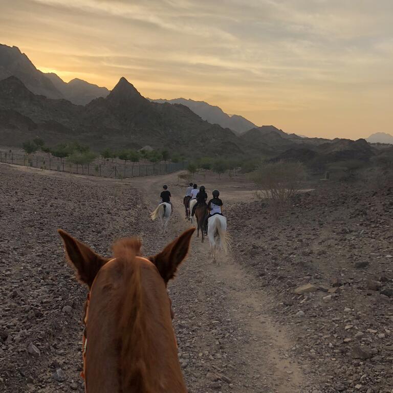 Hatta Sedr Trailers Resort - thumb 6