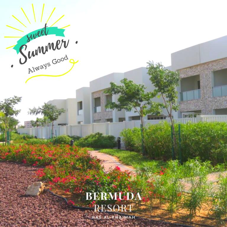 Holiday Home 3 Bedroom ( Beachfront) - thumb 5