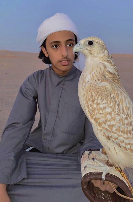 Liwa Nights Ù„ÙŠØ§Ù„ÙŠ Ù„ÙŠÙˆØ§ - thumb 9