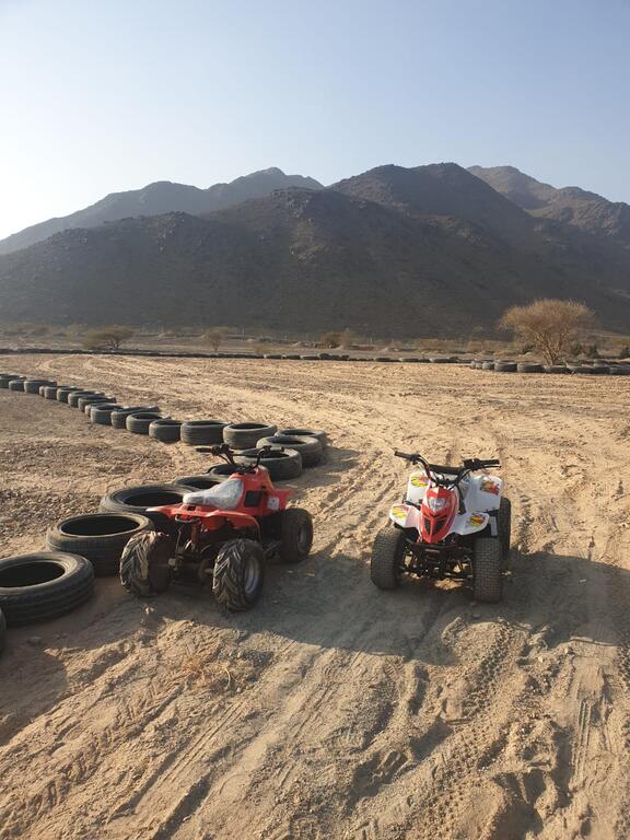 Alshahad Farm - thumb 4