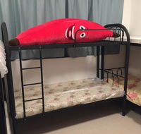 Bed in dormitory - Tourism UAE