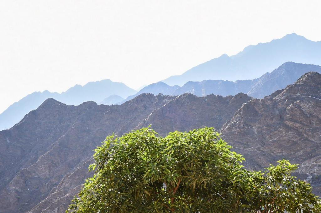 Brand New Luxury 5 Bedroom Villa With Sea View - thumb 1