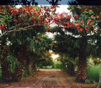 Revaloo farm Family Only Tourism UAE