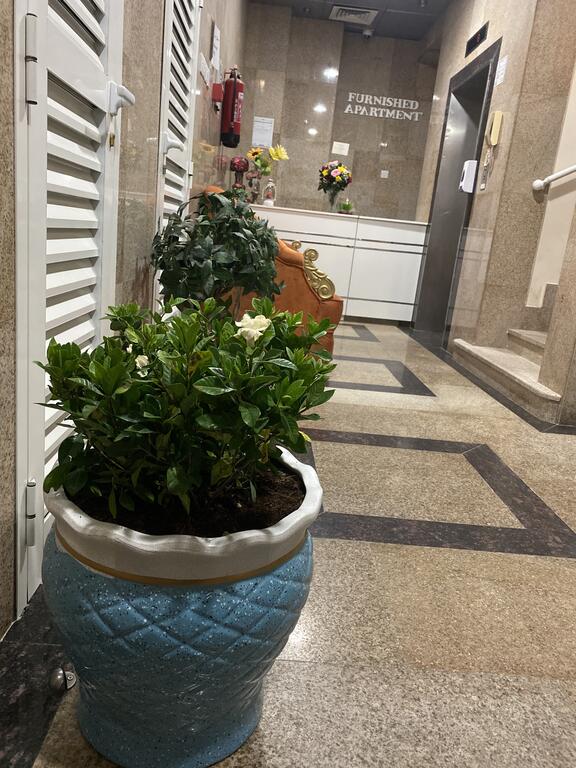 SAlA For Tourism Investment Furnished Apartments Family - thumb 7