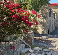 UAE farm - Tourism UAE