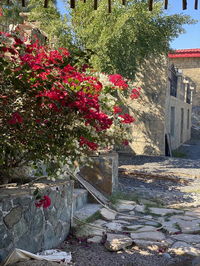 Book Qur Hotels, Tourism UAE Tourism UAE