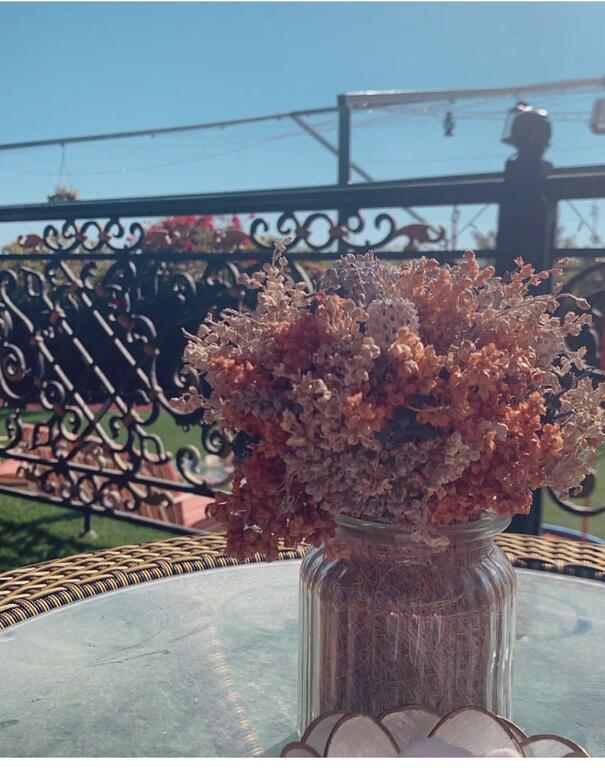 Ø§Ø³ØªØ±Ø§Ø­Ø© Ø§Ù„Ù…Ø¹Ù…ÙˆØ±Ù‡ Almaamoura Retreat - thumb 8