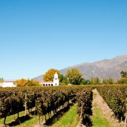 Cafayate Tourism UAE
