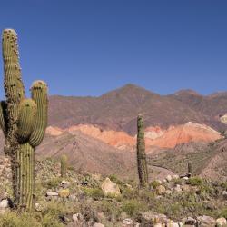 Jujuy Tourism UAE