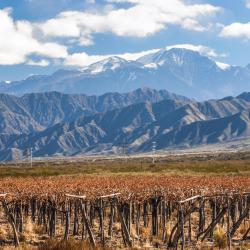 Mendoza Province Tourism UAE