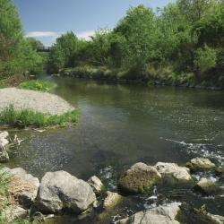 Schwechat Tourism UAE