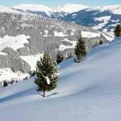 Zillertal Tourism UAE