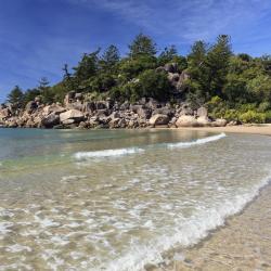 Magnetic Island Tourism UAE