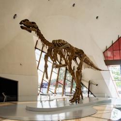 National Museum of Australia, Canberra Tourism UAE