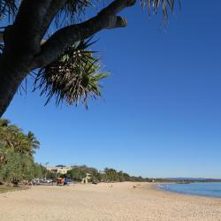 Noosa Tourism UAE
