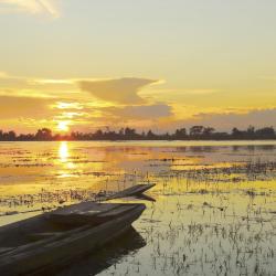 Pantanal Tourism UAE