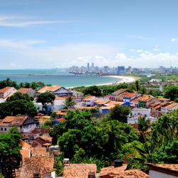 Recife Tourism UAE