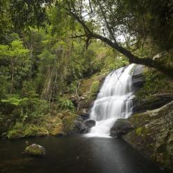 Serra da Bocaina National Park Tourism UAE