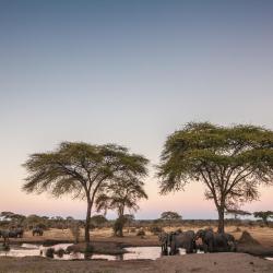 Chobe Tourism UAE