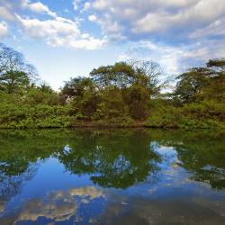 Guanacaste Tourism UAE