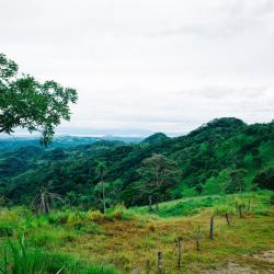 Monteverde Costa Rica Tourism UAE