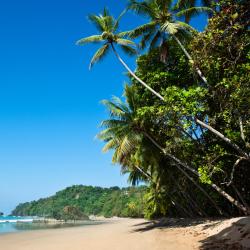 Puerto Viejo Tourism UAE