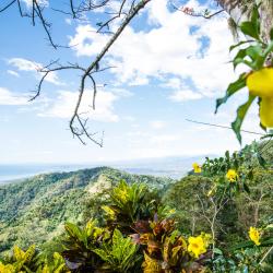 Puntarenas Tourism UAE