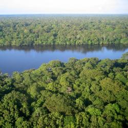 Tortuguero Tourism UAE