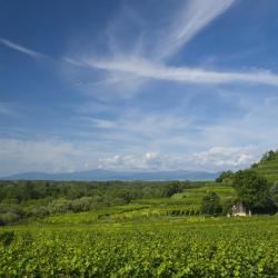 Baden-Württemberg Tourism UAE