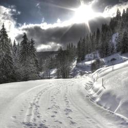 Feldberg Tourism UAE