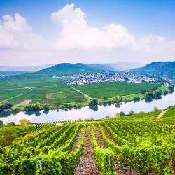 German Mosel Tourism UAE