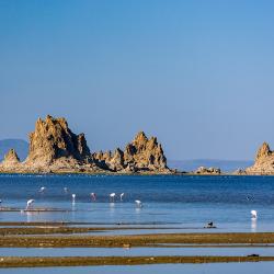 Djibouti Tourism UAE