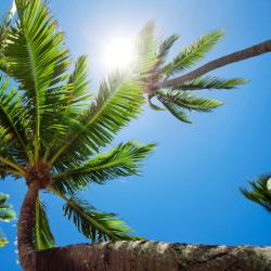 Pacific Harbour Tourism UAE