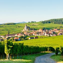 Alsace Tourism UAE