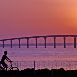 Island of Ré Tourism UAE