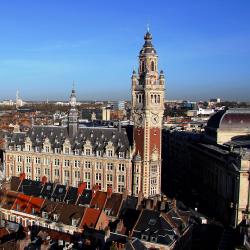 Lille Tourism UAE