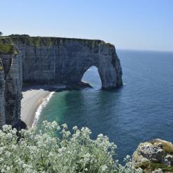 Normandy Tourism UAE