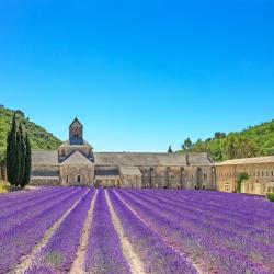 Provence Tourism UAE