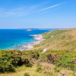 Devon Tourism UAE