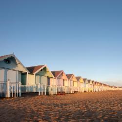 Essex Tourism UAE