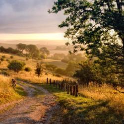 Hertfordshire Tourism UAE