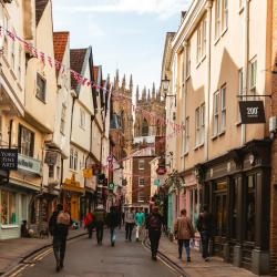 York Tourism UAE