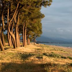 Kobuleti Tourism UAE