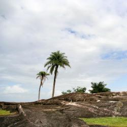 Kourou Tourism UAE