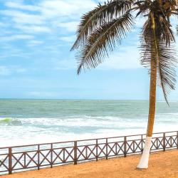 Tema Tourism UAE