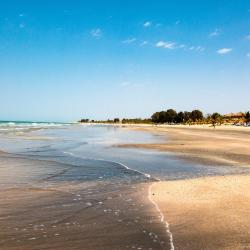 Kololi Tourism UAE