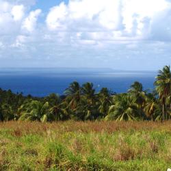 Marie Galante Tourism UAE