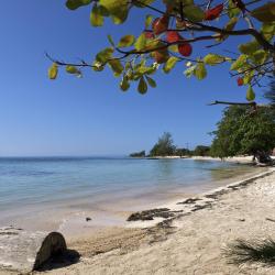 Utila Tourism UAE